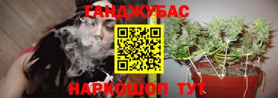 мяу мяу мука Нальчик