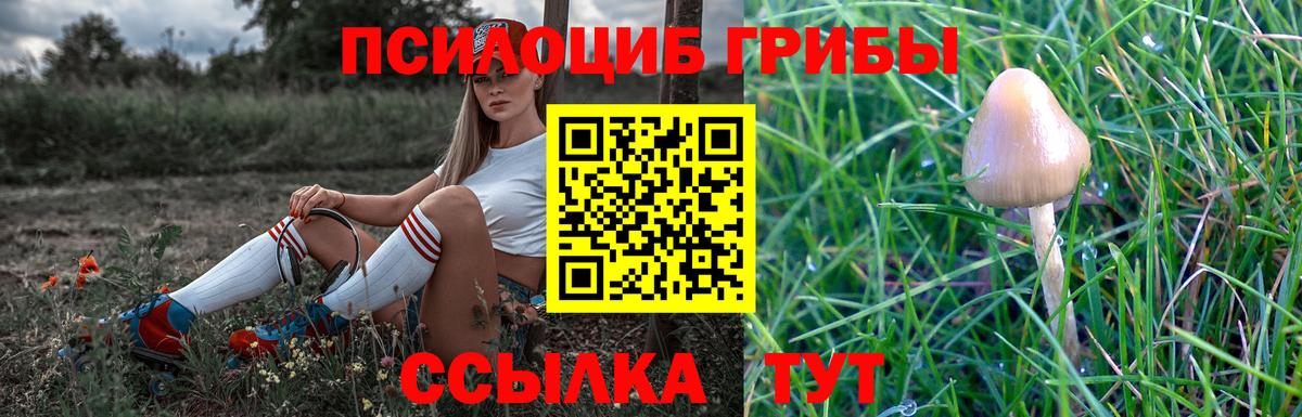 Отрадное  Галлюциногенные грибы мицелий  даркнет сайт  Вход с VPN  Псилоцибиновые грибы MAGIC MUSHROOMS 