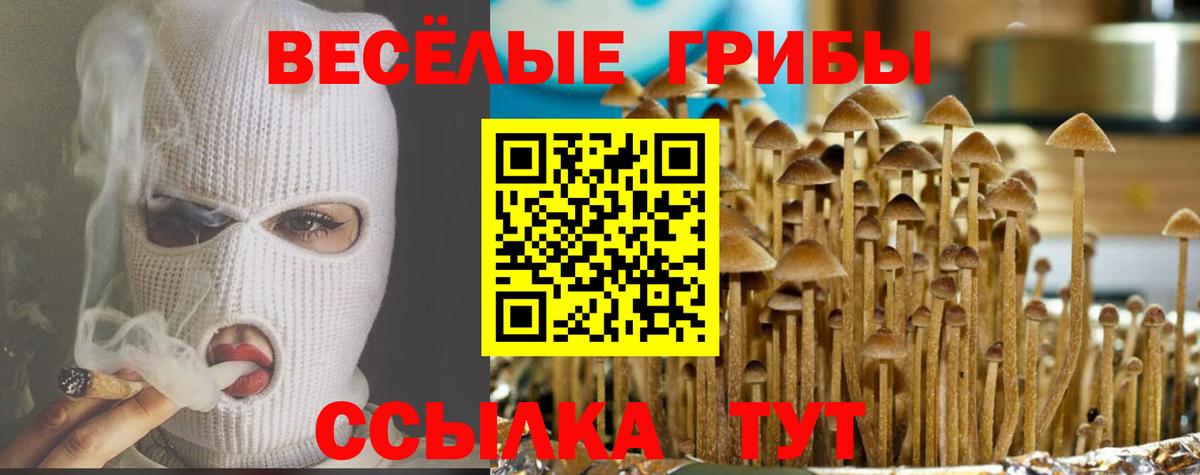 Галлюциногенные грибы ЛСД Отрадное
